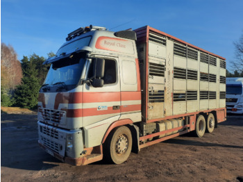 Tovornjak za prevoz živine VOLVO FH12
