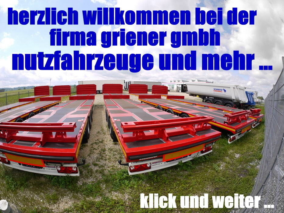 Griener gmbh nutzfahrzeuge und mehr ... - Drugi stroji BMW - diesel undefined: slika 1