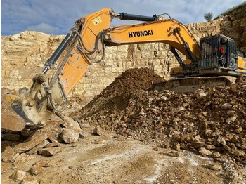 Bager goseničar HYUNDAI