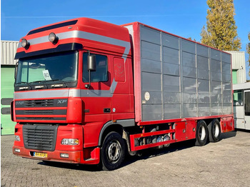 Tovornjak za prevoz živine DAF XF 95 430
