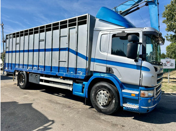 Tovornjak za prevoz živine SCANIA P 310