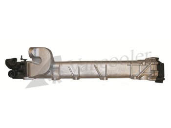 : fotografija v glavi strani