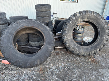 : fotografija v glavi strani