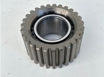 : fotografija v glavi strani