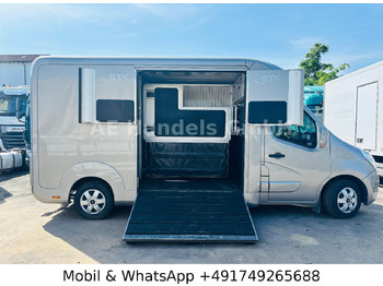 Prikolica za konje Renault Master STX Horsebox *Haras/2-Horses/3-Sitze: slika 3