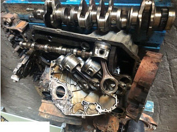 Motor in deli DEUTZ
