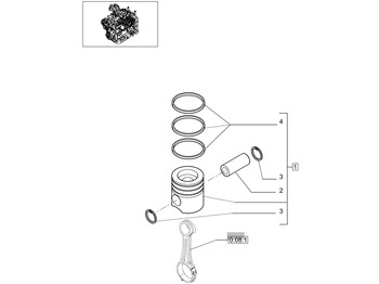 : fotografija v glavi strani