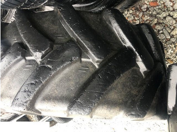 : fotografija v glavi strani