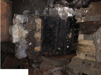 : fotografija v glavi strani