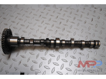 : fotografija v glavi strani