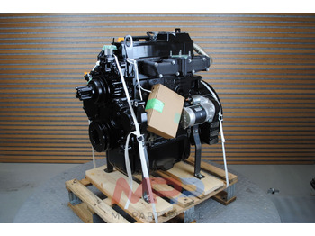 : fotografija v glavi strani