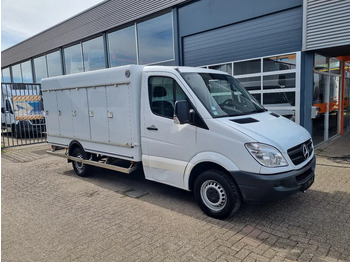 Hladilno vozilo MERCEDES-BENZ Sprinter 313
