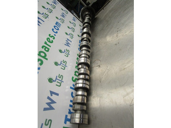 Motor in deli SCANIA 4