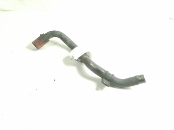 : fotografija v glavi strani