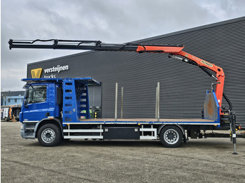 Tovornjak z dvigalom DAF CF 75.310 / PALFINGER CRANE + TRAILER: slika 2