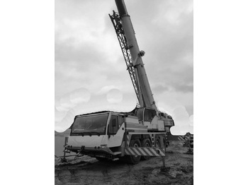 Avtodvigalo LIEBHERR LTM 1060/2