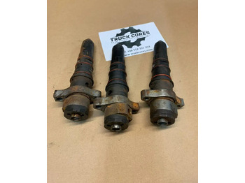 : fotografija v glavi strani