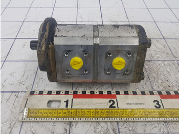 : fotografija v glavi strani