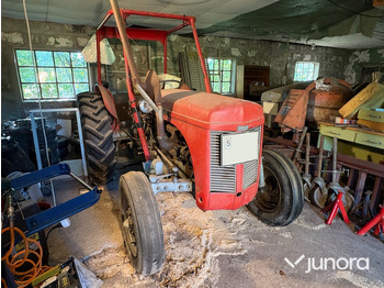 : fotografija v glavi strani