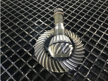 : fotografija v glavi strani