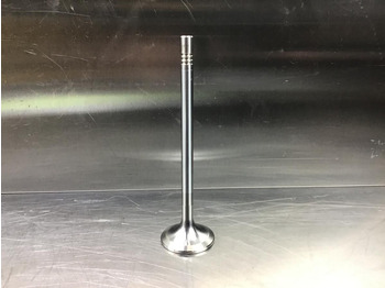 Motor in deli LIEBHERR