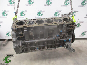 Motor in deli DAF CF