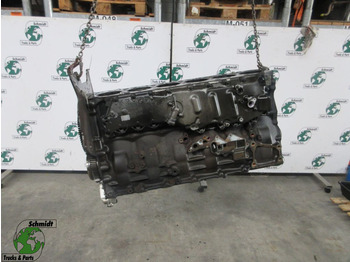 Motor in deli RENAULT T