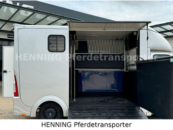 Renault Master 3 - Sitzer  lizing Renault Master 3 - Sitzer: slika 5