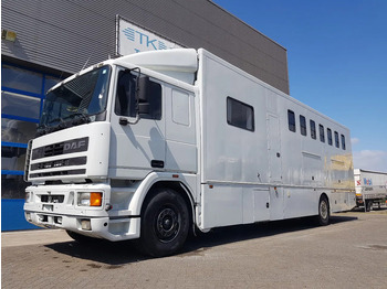 Tovornjak za prevoz konj DAF 95 350