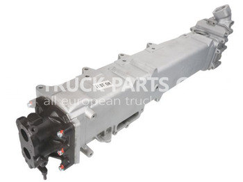 Motor in deli MAN TGS