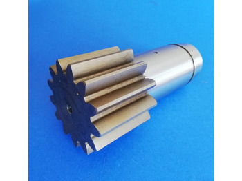 : fotografija v glavi strani