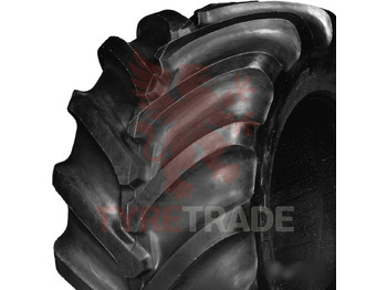 : fotografija v glavi strani