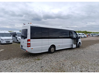 Minibus, Potniški kombi Mercedes-Benz Sprinter 519: slika 4