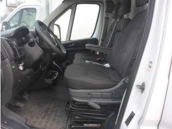 FIAT DUCATO CHŁODNIA/IZOTERMA lizing FIAT DUCATO CHŁODNIA/IZOTERMA: slika 5