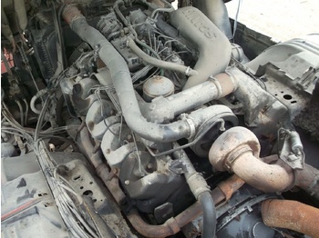 : fotografija v glavi strani