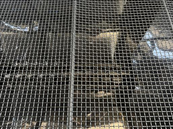 Tekoči trak NNP Hopper and elevator screw conveyor: slika 5