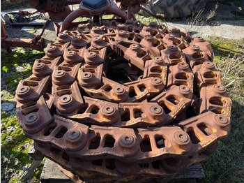 : fotografija v glavi strani