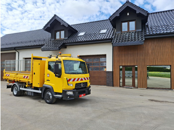 Tovornjak prekucnik RENAULT D