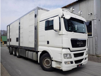 Tovornjak za prevoz živine MAN TGX 35.540 8X4 TRIDEM ANIMAL: slika 4