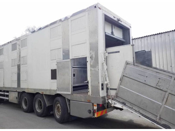 Tovornjak za prevoz živine MAN TGX 35.540 8X4 TRIDEM ANIMAL: slika 5
