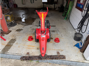 : fotografija v glavi strani