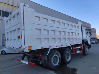 : fotografija v glavi strani