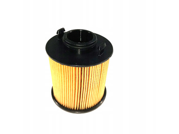 Motor in deli DAF CF