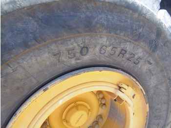 : fotografija v glavi strani