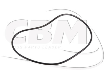 Menjalnik in deli IRISBUS