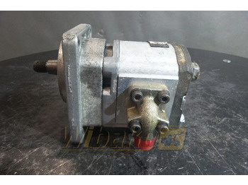 : fotografija v glavi strani