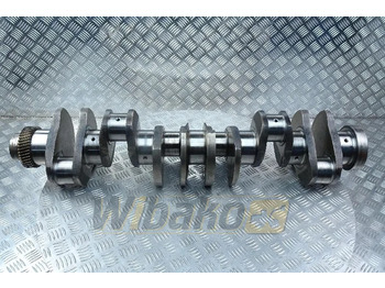 : fotografija v glavi strani