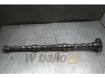 : fotografija v glavi strani