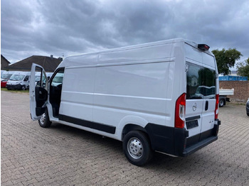 Opel Movano Cargo lizing Opel Movano Cargo: slika 3