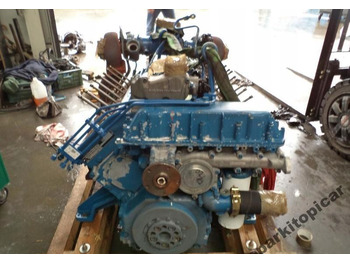 : fotografija v glavi strani